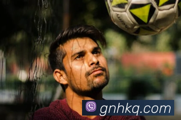 半岛官网登陆入口平台生态图